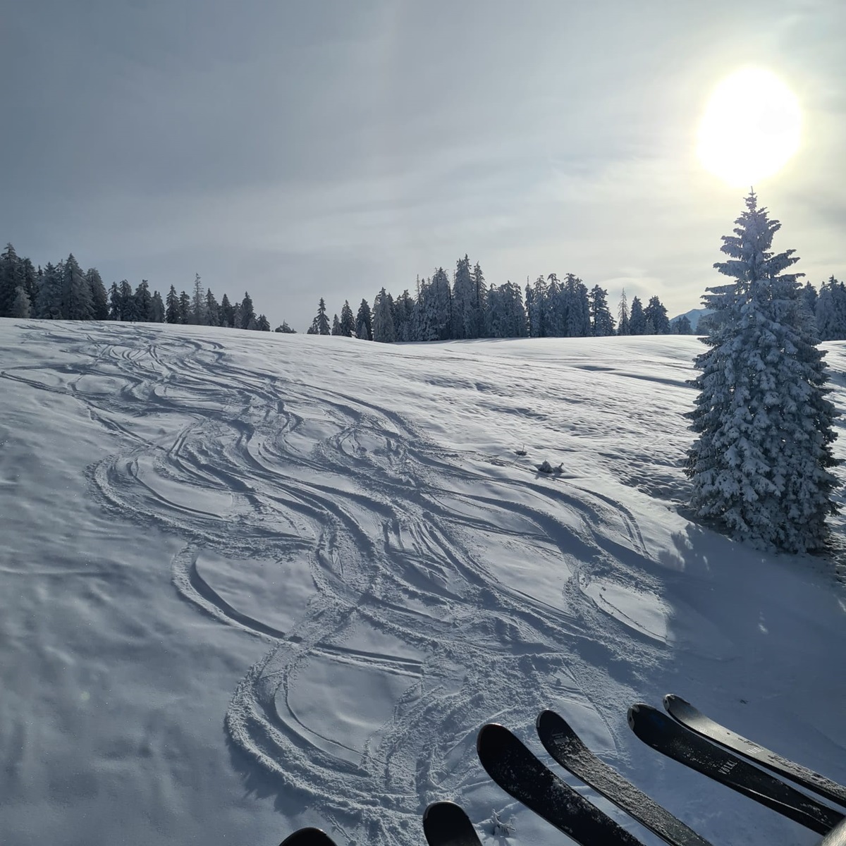 TAGESFAHRT GOSAU/DACHSTEIN